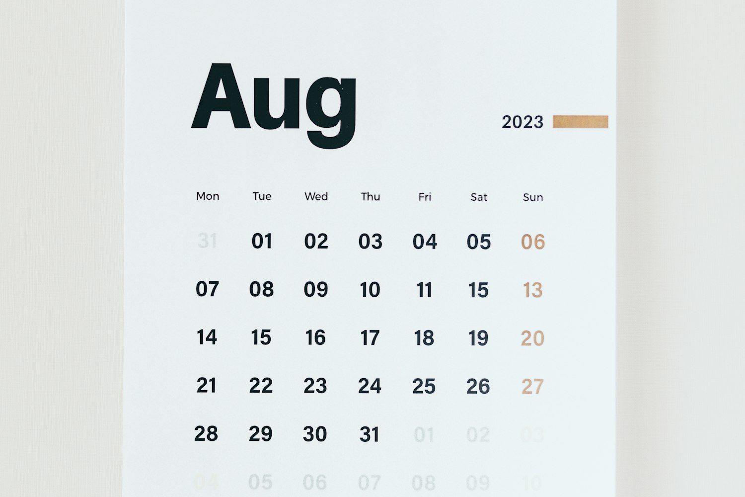 2026年2月から会社設立日を土日祝日にできる！新制度の手続きと注意点