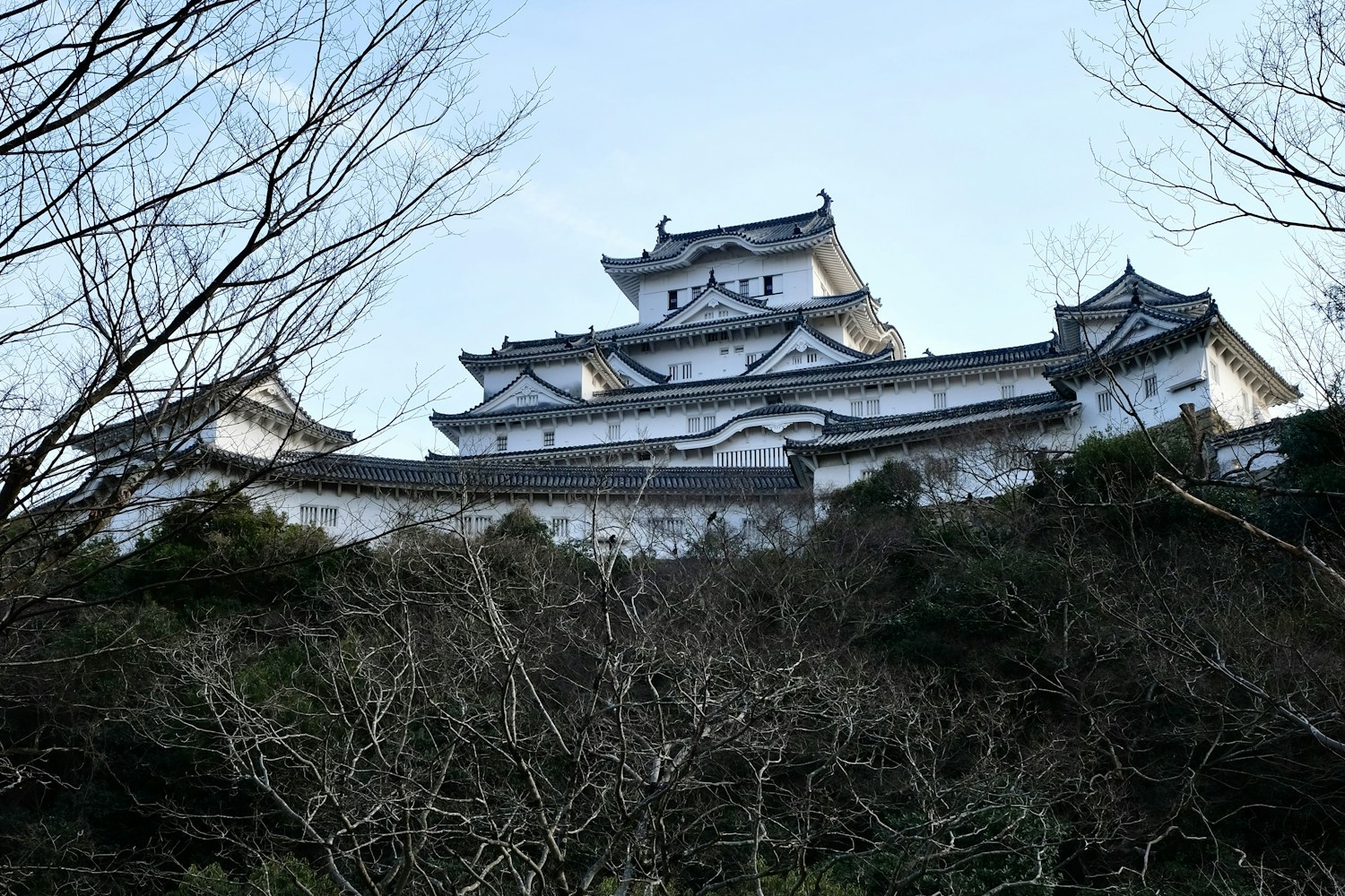 彦根・長浜・東近江で会社設立するメリット|地域の創業支援制度を活用する方法